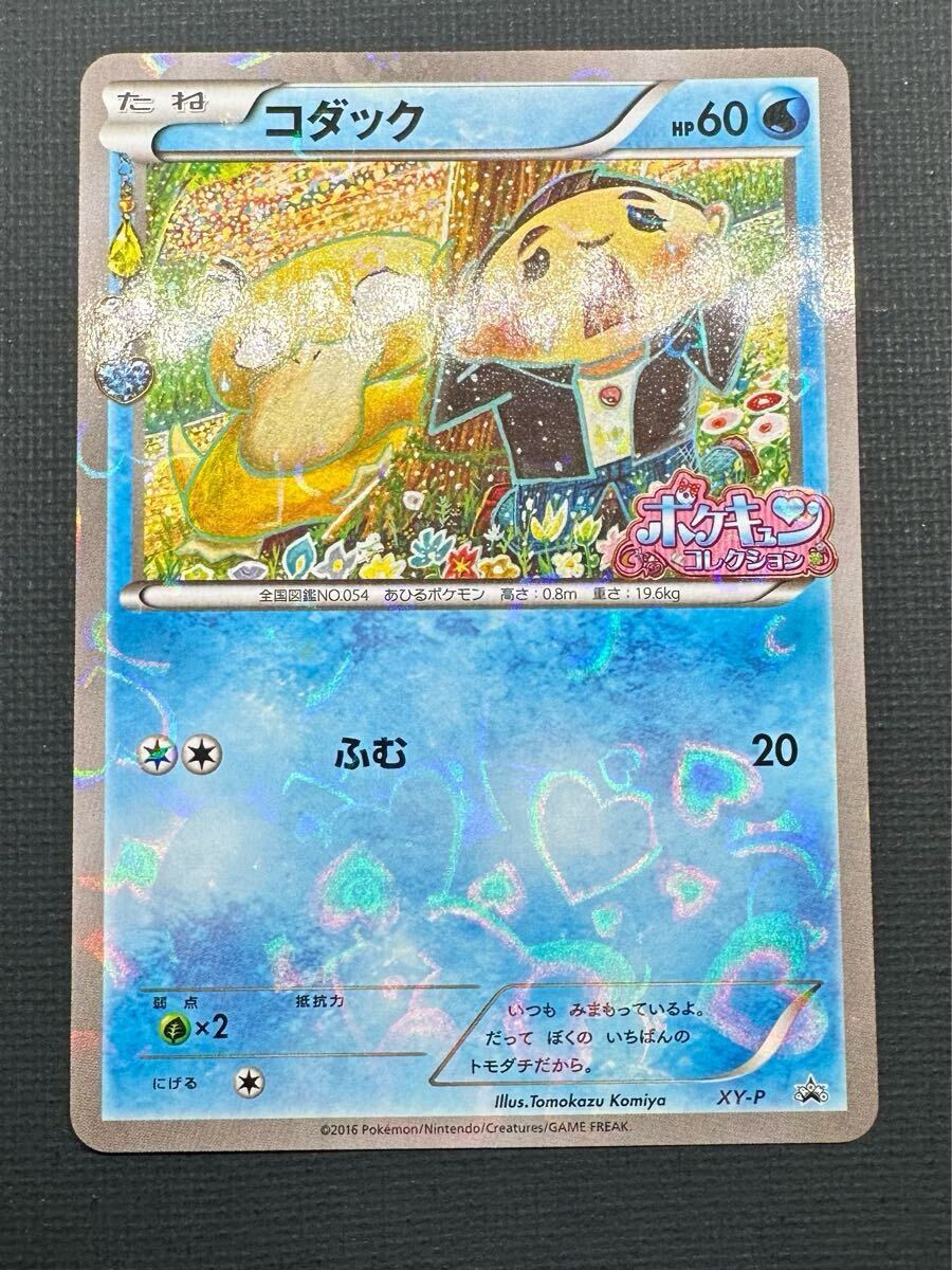 コダック: プロモ[XY-P](プロモーションカード「XY-P」) ポケキュンコレクション ポケモンカード