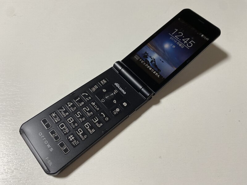 IW766 docomo F-03L 8GB ブラック