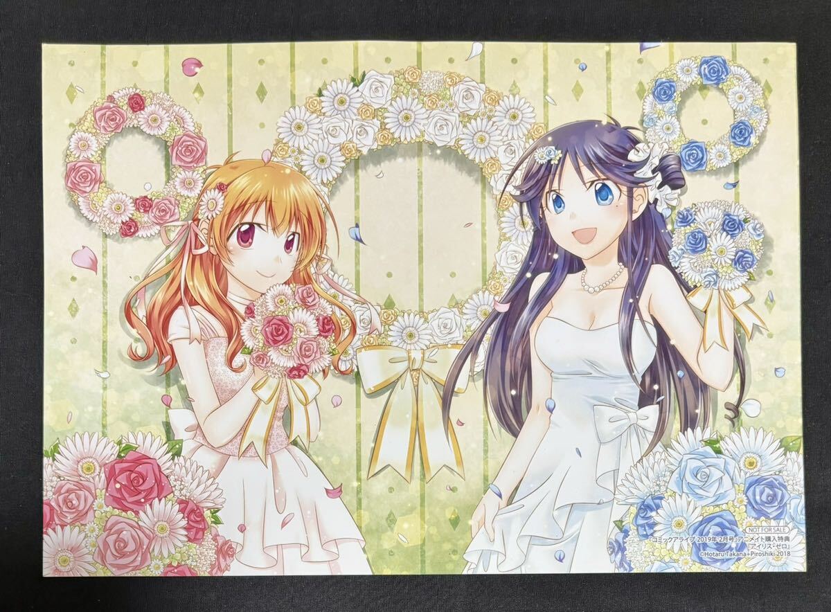 アイリスｚｅｒｏ　コミックアライブ2019年2月号　アニメイト特典　イラストカード(大) (蛍たかな L8 ピロ式 アイリスゼロ