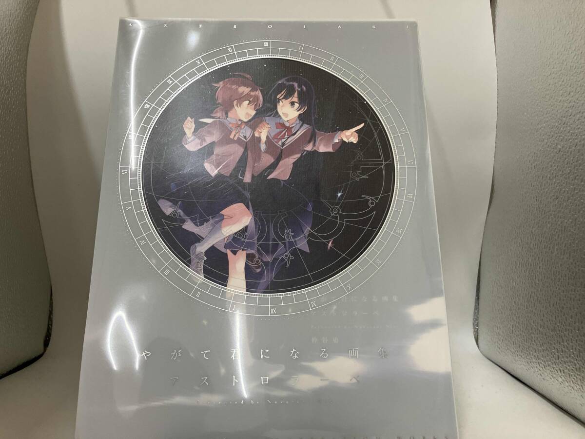 やがて君になる画集 アストロラーベ 仲谷鳰