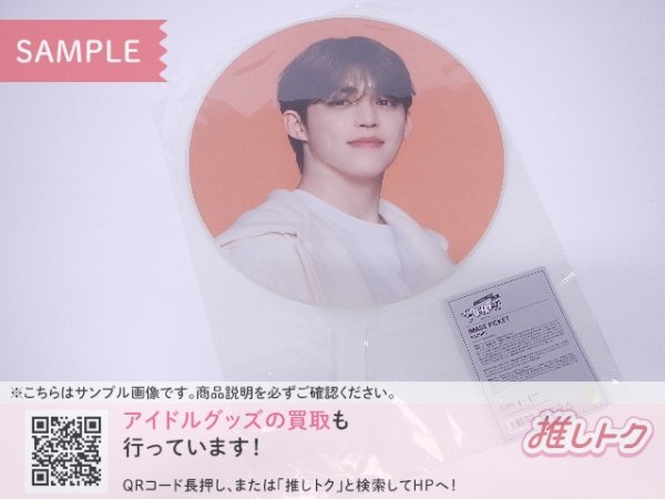 SEVENTEEN S.COUPS うちわ TOUR FOLLOW AGAIN TO JAPAN IMAGE PICKET エスクプス スンチョル セブチ [美品]
