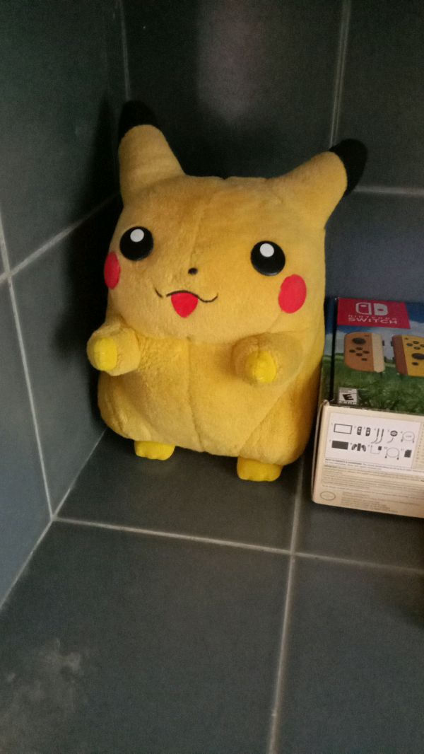 pikachu childhood friend