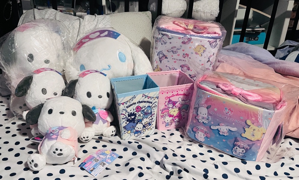 I was hesitant to try this but after searching for the remaining plushies and pouches, I found all of them! I was so happy to finally...